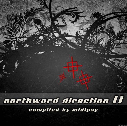 VA - Northward Direction Vol.2 2010