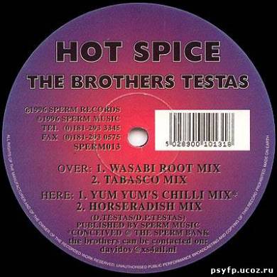 The Brothers Testas - Hot Spice (1996)